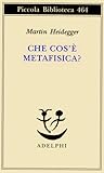 Che cos'è metafis...
