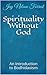 Spirituality Without God: An Introduction to Bodhidaoism
