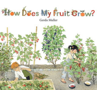 How Does My Fruit Grow? (Hardcover)