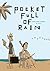 Pocket Full of Rain