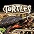 Turtles (Reptiles)
