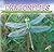 Dragonflies (Insects Discovery Library)