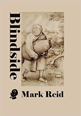 Blindside (Paperback)