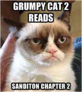 Grumpy Cat 2 Reads Sanditon Chapter 2