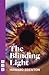 The Blinding Light (NHB Modern Plays)