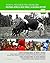Helping Africa Help Itself:...
