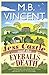 Jess Castle and the Eyeballs of Death by M B Vincent