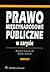 Prawo międzynarodowe publiczne w zarysie (Polish Edition)