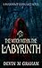 The Witch Within the Labyri...