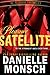 Pleasure Satellite (The Pleasure Chronicles, #1)