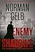 Enemy in the Shadows: The W...