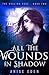 All the Wounds in Shadow (The Healing Edge Book 2)