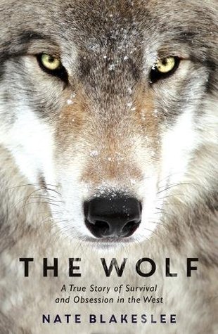 The Wolf (Paperback)