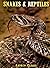 Snakes & Reptiles
