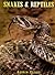 Snakes & Reptiles (Exploring Nature) by Andrew Cleave