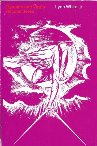 Dynamo and Virgin Reconsidered: Essays in the Dynamism of Western Culture