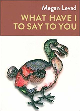 What Have I To Say To You (Paperback)