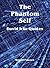 Phantom Self - David Icke Q...