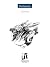 Pentimento