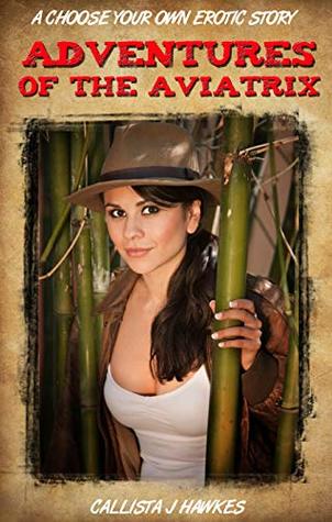 Adventures of the Aviatrix: A Choose Your Own Erotic Story (Kindle Edition)