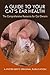 A Guide to Your Cat's Ear Health by Benjamin Preisner