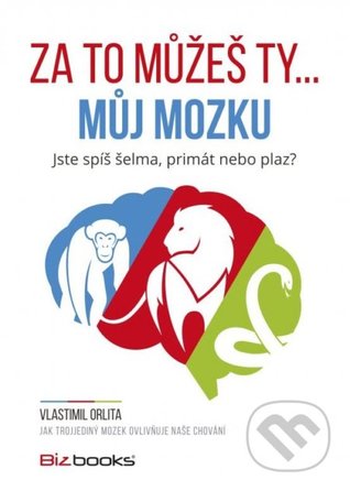 Za to můžeš ty... můj mozku