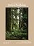 The Healing Magic of Forest Bathing: Finding Calm, Creativity, and Connection in the Natural World