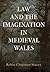 Law and the Imagination in ...