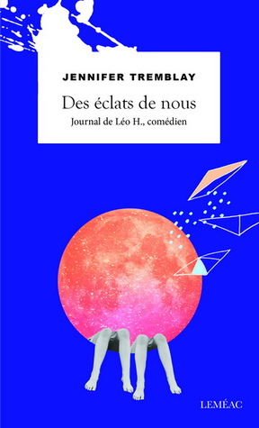 Des éclats de nous (Paperback)