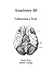 Anatomy 40: Laboratory Text