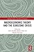 Macroeconomic Theory and the Eurozone Crisis (Routledge Studies in the History of Economics)
