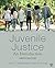 Juvenile Justice: An Introduction