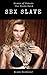 The Slave Raid (Sex Slave Harem Book 4)