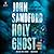 Holy Ghost (Virgil Flowers, #11)