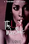 The Love We Seek: A Forbidden Love Story (The Love Series Book 1)
