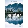 Coborarea by Tim Johnston