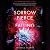 A Sorrow Fierce and Falling (Kingdom on Fire, #3)