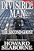 Divisible Man - The Second Ghost