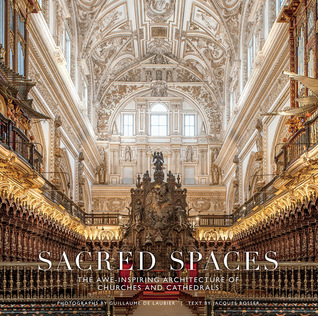 Sacred Spaces: The Awe-Inspiring Architecture of Churches and Cathedrals (Hardcover)