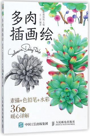多肉插画绘 素描 色铅笔 水彩36例暖心详解 Succulent Illustrations By 王二喜wang Erxi