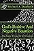 God's Positive And Negative Equation by Michael A. Danforth