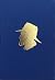 The Little Blue Book