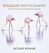 Wildlife Photogra...