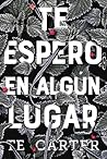 Te espero en algún lugar by T.E. Carter