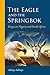 The Eagle and the Springbok by Adekeye Adebajo
