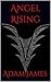 Angel Rising: A Broken Angel Story