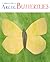 A Children's Guide to Arctic Butterflies