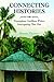 Connecting Histories: Francophone Caribbean Writers Interrogating Their Past