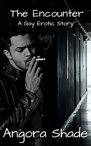 The Encounter: A Gay Erotic Story (Kindle Edition)