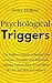 Psychological Triggers by Peter Hollins